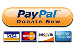 PayPal Donate Now Button